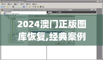 2024澳门正版图库恢复,经典案例解释定义_Nexus65.615-2