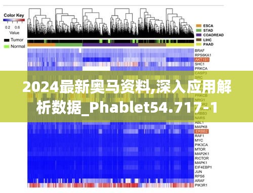 2024最新奥马资料,深入应用解析数据_Phablet54.717-1