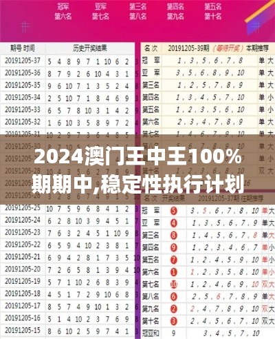 2024澳门王中王100%期期中,稳定性执行计划_专家版26.461-8