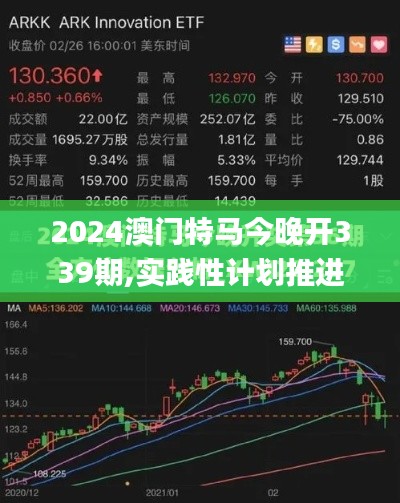 2024澳门特马今晚开339期,实践性计划推进_SHD75.105-7