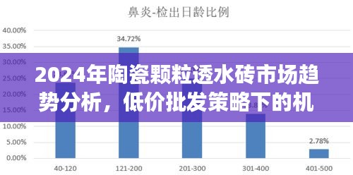 2024年陶瓷颗粒透水砖市场趋势分析，低价批发策略下的机遇与挑战探讨