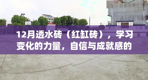 学习变化的力量，探究透水砖（红缸砖）背后的自信与成就感之源