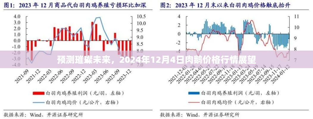 肉鹅价格行情展望，预测璀璨未来，展望2024年12月4日市场趋势