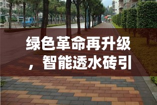 绿色革命升级版，智能透水砖引领未来生活新篇章