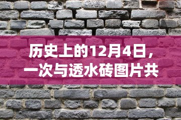 12月4日自然探索之旅，与透水砖图片共舞的历史时刻