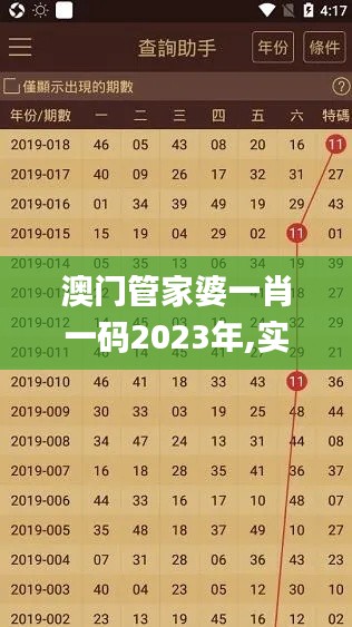 澳门管家婆一肖一码2023年,实地分析数据设计_V216.417-5