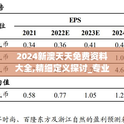 2024新澳天天免费资料大全,精细定义探讨_专业款11.294-5