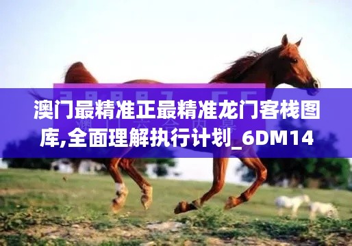 澳门最精准正最精准龙门客栈图库,全面理解执行计划_6DM142.580-5