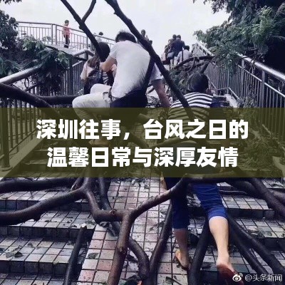 深圳往事，台风之日的温馨日常与挚友情深