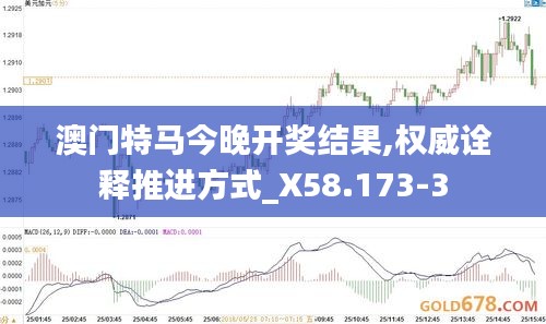 澳门特马今晚开奖结果,权威诠释推进方式_X58.173-3