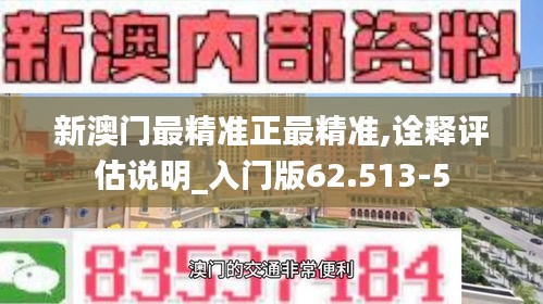 新澳门最精准正最精准,诠释评估说明_入门版62.513-5