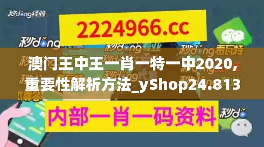 澳门王中王一肖一特一中2020,重要性解析方法_yShop24.813