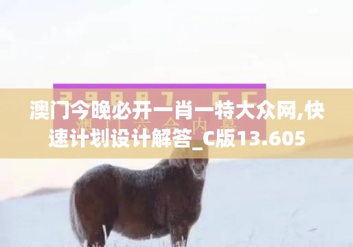 澳门今晚必开一肖一特大众网,快速计划设计解答_C版13.605