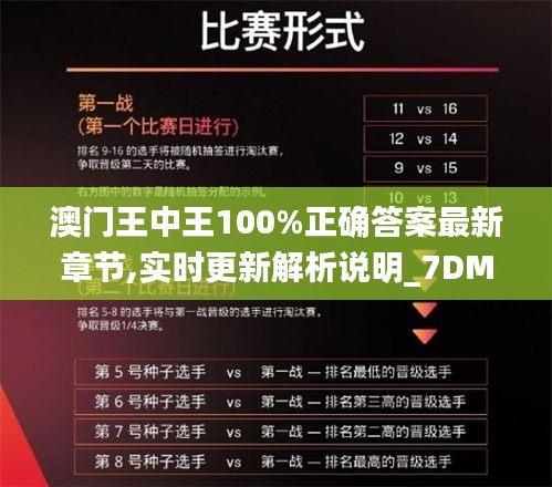 澳门王中王100%正确答案最新章节,实时更新解析说明_7DM11.832