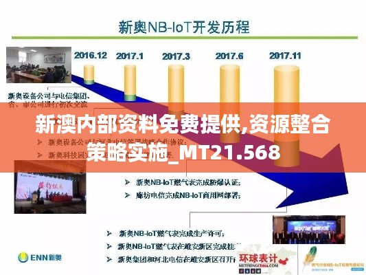 新澳内部资料免费提供,资源整合策略实施_MT21.568