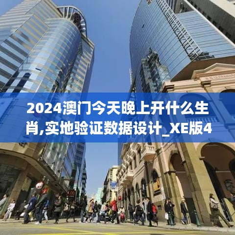 2024澳门今天晚上开什么生肖,实地验证数据设计_XE版49.633