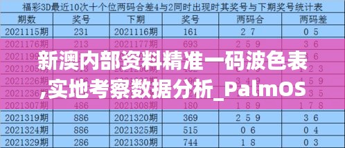 新澳内部资料精准一码波色表,实地考察数据分析_PalmOS195.986