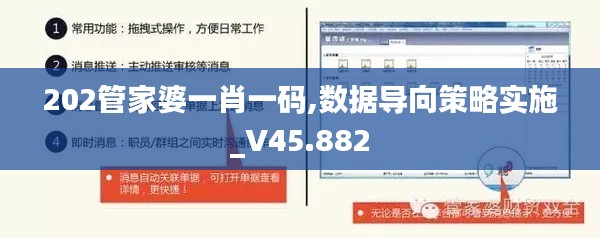 202管家婆一肖一码,数据导向策略实施_V45.882