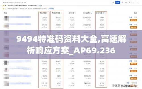 9494特准码资料大全,高速解析响应方案_AP69.236