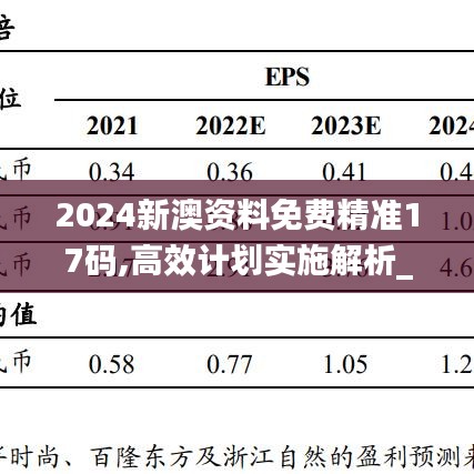 2024新澳资料免费精准17码,高效计划实施解析_扩展版76.704