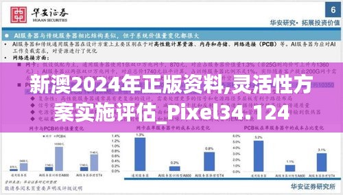 新澳2024年正版资料,灵活性方案实施评估_Pixel34.124