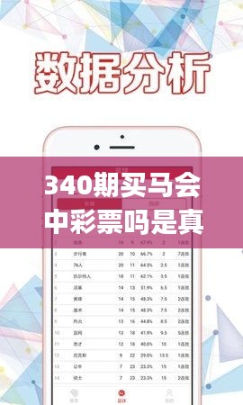 340期买马会中彩票吗是真的吗,定性分析说明_VR版91.504-9