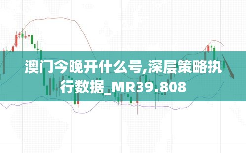 澳门今晚开什么号,深层策略执行数据_MR39.808