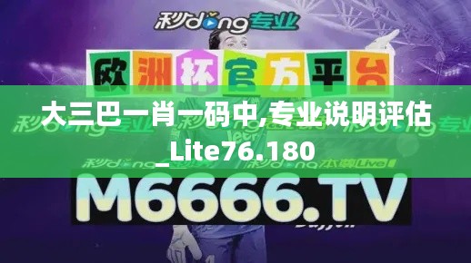 大三巴一肖一码中,专业说明评估_Lite76.180