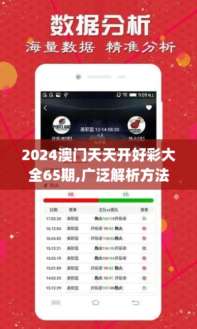 2024澳门天天开好彩大全65期,广泛解析方法评估_C版160.973