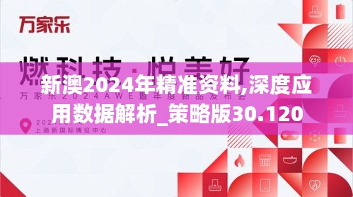 新澳2024年精准资料,深度应用数据解析_策略版30.120