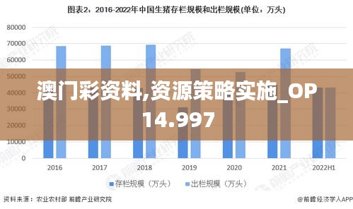 澳门彩资料,资源策略实施_OP14.997