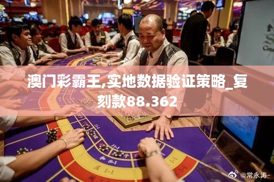 澳门彩霸王,实地数据验证策略_复刻款88.362