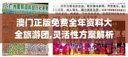 澳门正版免费全年资料大全旅游团,灵活性方案解析_特供版51.451