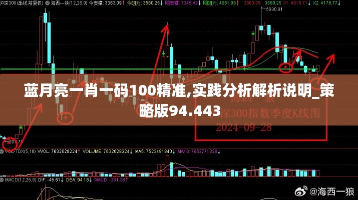 蓝月亮一肖一码100精准,实践分析解析说明_策略版94.443