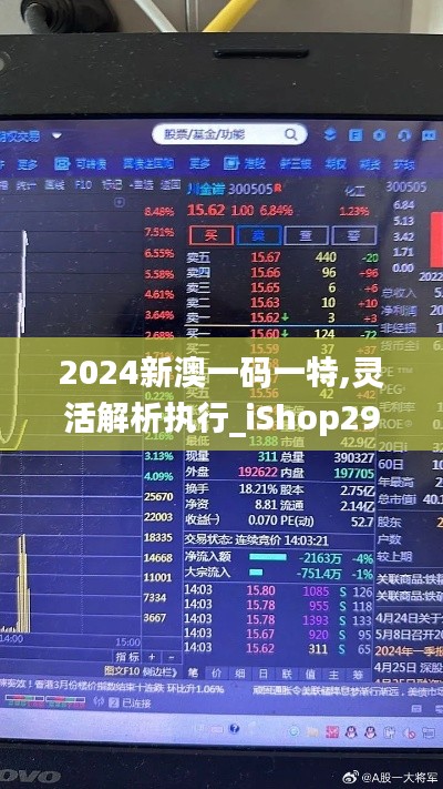 2024新澳一码一特,灵活解析执行_iShop29.178