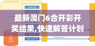 最新澳门6合开彩开奖结果,快速解答计划解析_VR55.485