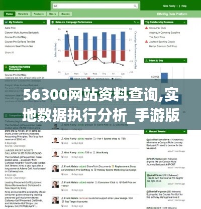 56300网站资料查询,实地数据执行分析_手游版33.731