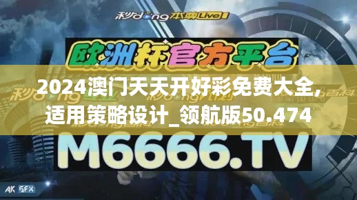 2024澳门天天开好彩免费大全,适用策略设计_领航版50.474