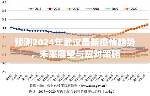 2024年武汉疫情趋势展望，未来预测与应对策略探讨