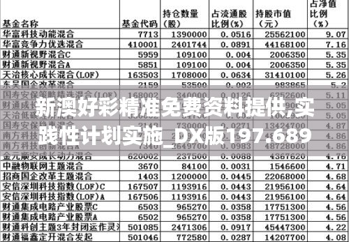 新澳好彩精准免费资料提供,实践性计划实施_DX版197.689