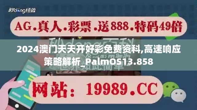 2024澳门天天开好彩免费资科,高速响应策略解析_PalmOS13.858