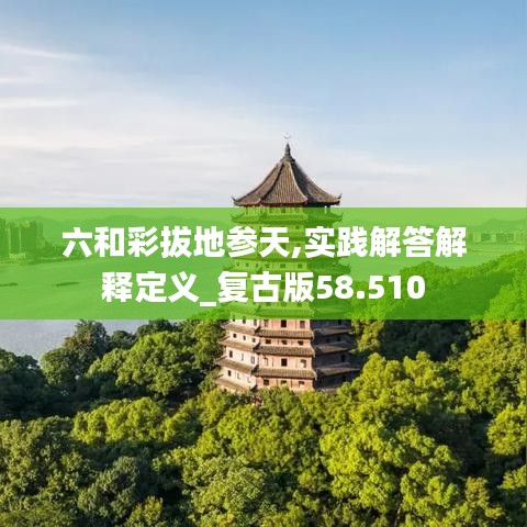 六和彩拔地参天,实践解答解释定义_复古版58.510