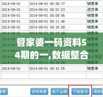 管家婆一码资料54期的一,数据整合执行策略_R版27.170