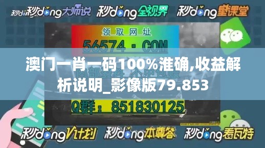 澳门一肖一码100%淮确,收益解析说明_影像版79.853