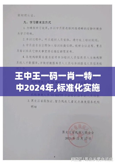 王中王一码一肖一特一中2024年,标准化实施评估_AP59.766