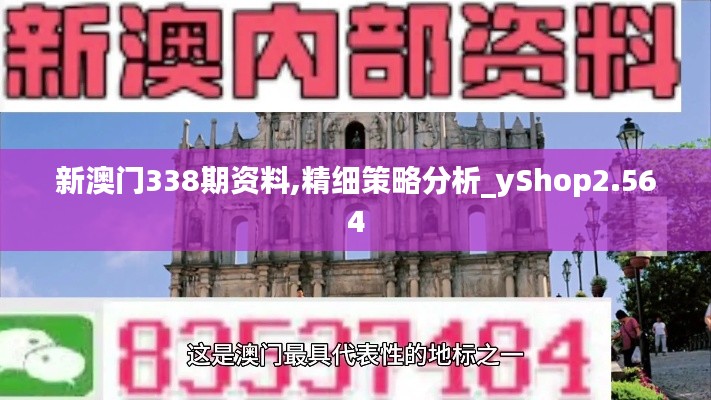 新澳门338期资料,精细策略分析_yShop2.564