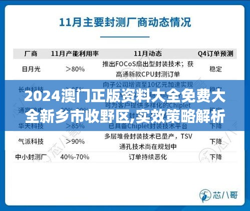 2024澳门正版资料大全免费大全新乡市收野区,实效策略解析_专业款67.395