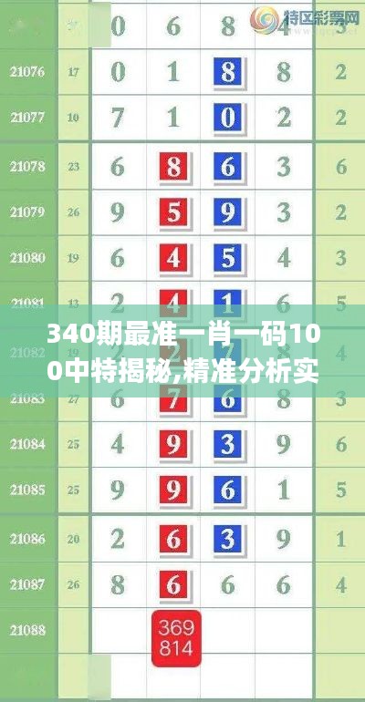 340期最准一肖一码100中特揭秘,精准分析实施步骤_专属款56.496-1