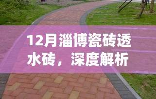 深度解析淄博瓷砖透水砖应用与展望，12月行业洞察