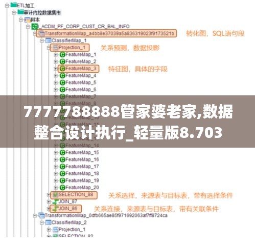 7777788888管家婆老家,数据整合设计执行_轻量版8.703